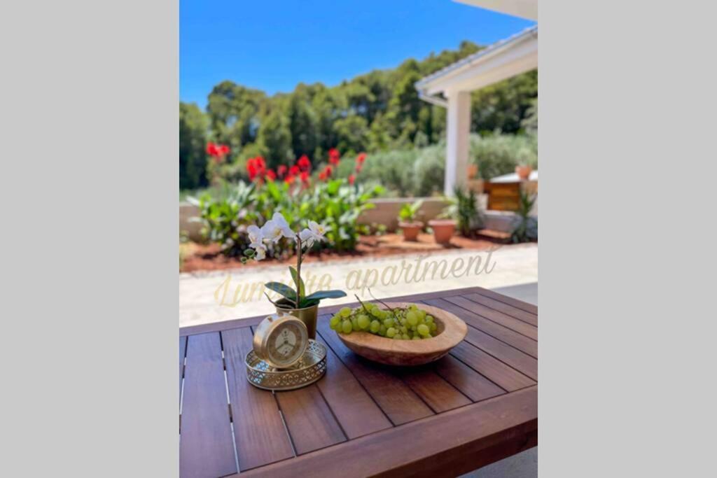Seaview Pool Apartment-Lumiere, Island Hvar-Gdinj Zewnętrze zdjęcie
